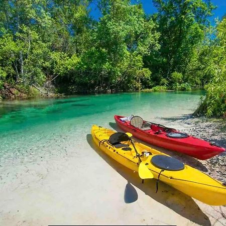 Manatee Oasis Weeki Wachee Family Fun Pool Home Spring Hill Eksteriør billede