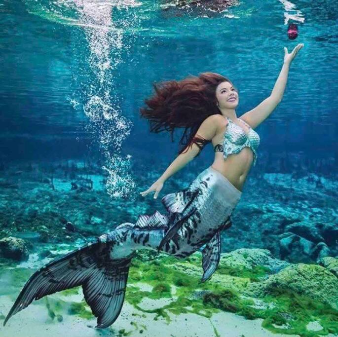 Manatee Oasis Weeki Wachee Family Fun Pool Home Spring Hill Eksteriør billede