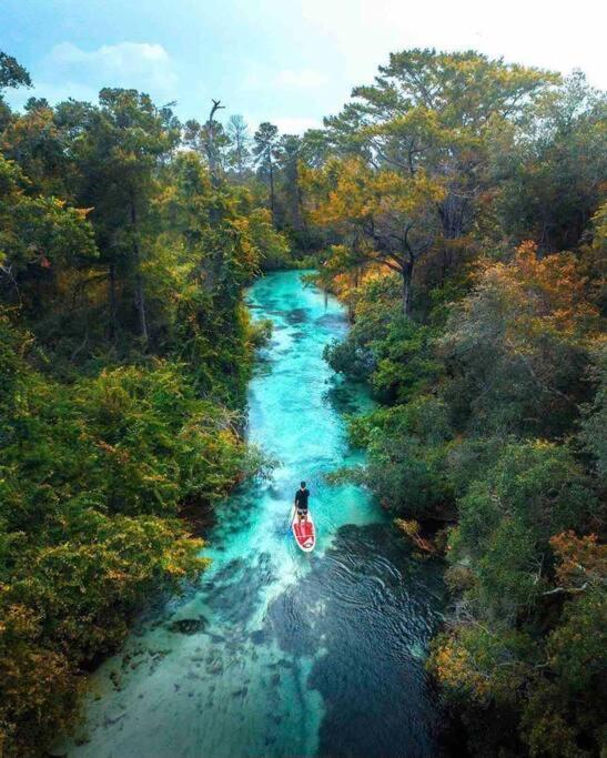 Manatee Oasis Weeki Wachee Family Fun Pool Home Spring Hill Eksteriør billede