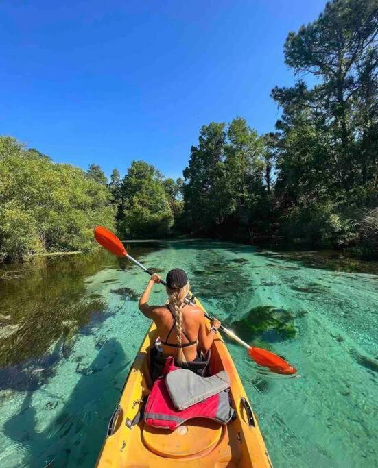 Manatee Oasis Weeki Wachee Family Fun Pool Home Spring Hill Eksteriør billede