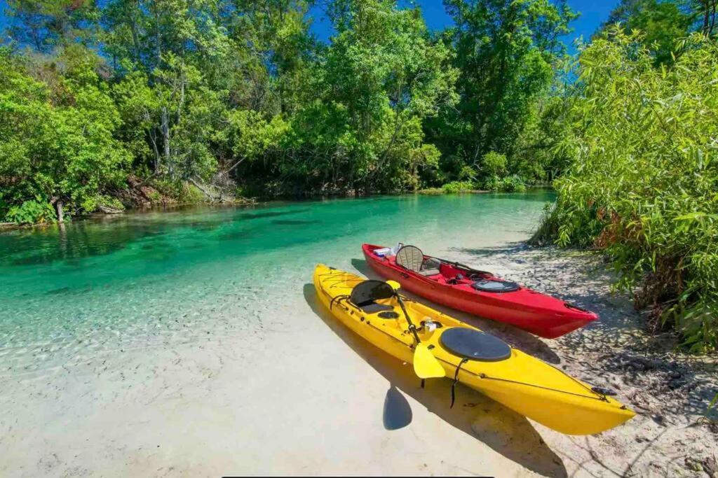 Manatee Oasis Weeki Wachee Family Fun Pool Home Spring Hill Eksteriør billede